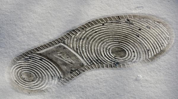 nike cheama in instanta creatorii pantofilor sport satanici