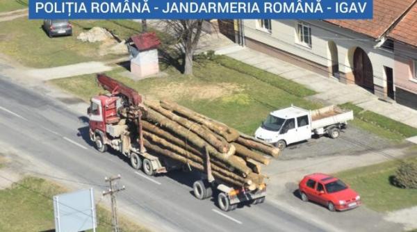 politistii din caras severin au salvat intreaga suprafata impadurita a judetului aproximativ 427 992 hectare