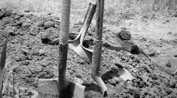 bataie cu sape lopeti si scaune un administrator de firma a fost bagat in spital de angajati