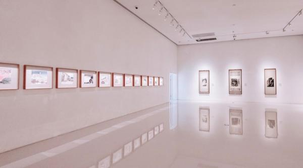 o expozitie in cinstea artistei spaniole maruja mallo nu continea vreo opera pictata de ea