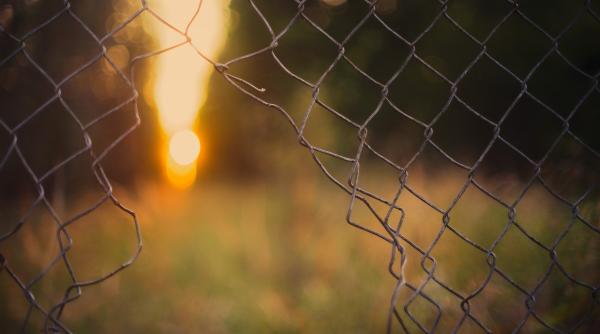 familia corduneanu a petrecut cu manele si dedicatii acasa dupa eliberarea lui bogdan