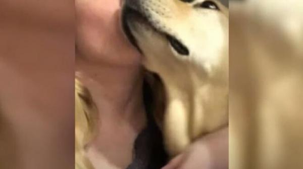 momentul in care o tanara nevazatoare isi reintalneste cainele dupa multe luni video