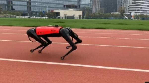 cainele robot alphadog record mondial de viteza pentru un animal metalic video