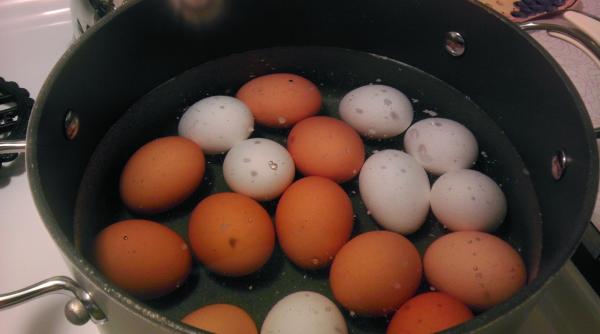 ce poti face cu apa in care ai fiert ouale nu o arunca este excelenta