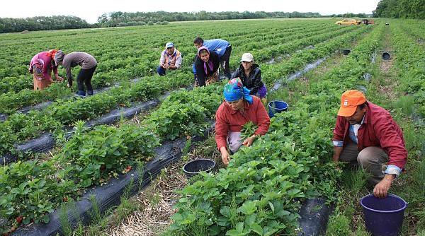 klaus iohannis a semnat decretele printre acestea cel care reglementeaza munca zilierilor
