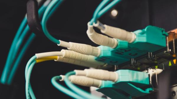 fbi a arestat un barbat care voia sa bubuie 70prc din internet