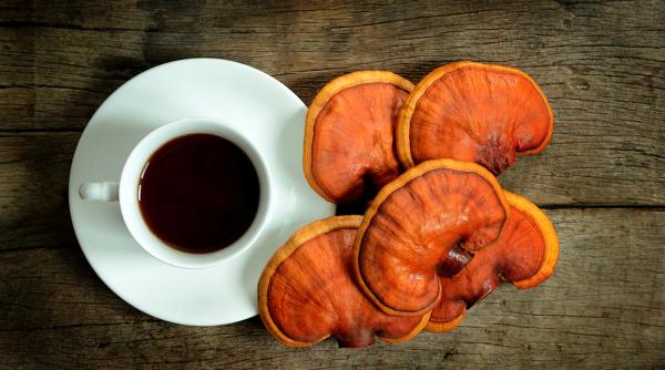 ganoderma efecte benefice dovedite p