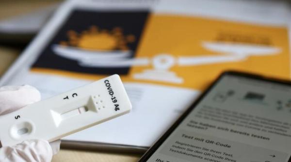 teste covid 19 false perchezitii la companii de transport