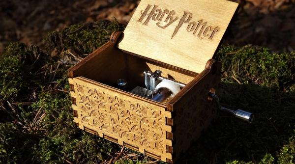 o femeie care se credea harry potter a ucis o judecatoare in sua