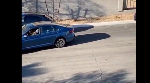 videoclip suprarealist si hilar cu o soferita care incearca sa parcheze finalul vine cu o surpriza video