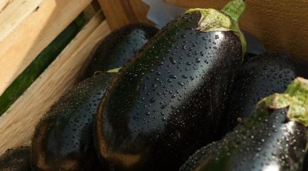 salata de vinete reteta pe care trebuie sa o incerci in postul pastelui 2021