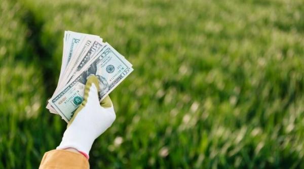 apple creeaza un fond de 200 mil dolari pentru a si elimina emisiile din atmosfera