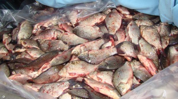 klaus iohannis a respins legea pescuitului si acvaculturii