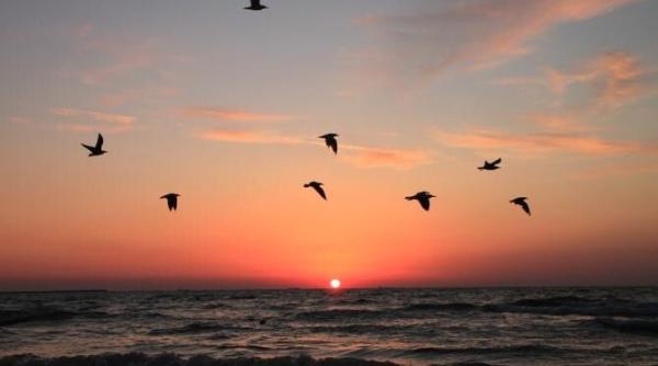 anul 2020 unul dintre cei mai caldurosi din istoria inregistrarilor meteorologice