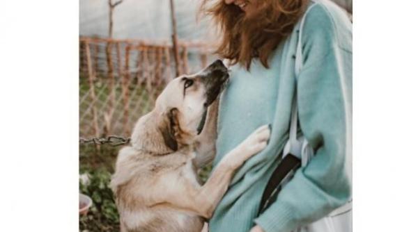 gata cu dezastrul incepe o perioada extraordinara pentru o zodie horoscop berbec taur gemeni rac leu