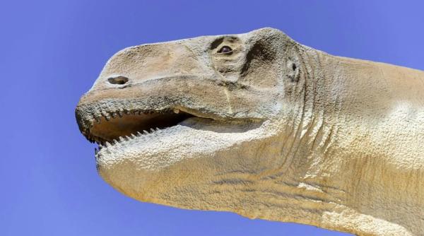 o noua specie de dinozaur a fost descoperita in desertul atacama din chile