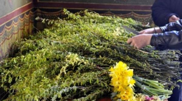 sarbatoarea intrarii domnului in ierusalim floriile la catedrala patriarhala
