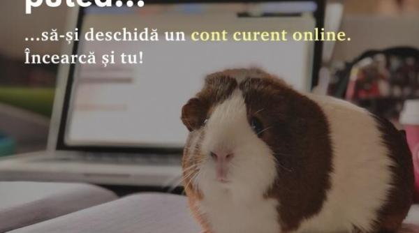 cec bank lanseaza cardul de credit 100prc online cu 24 de rate fara dobanda