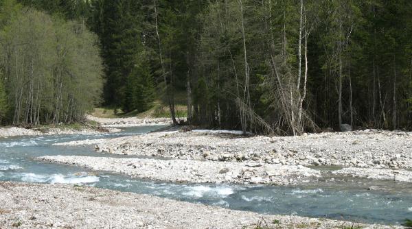 jucarii erotice in valea raului rebra ecologistii au avut o surpriza cand au curatat albia video