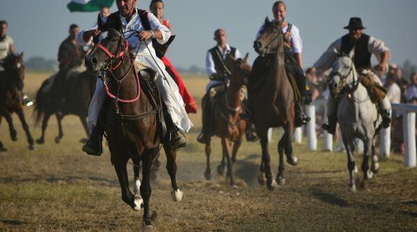 limba maghiara transilvania