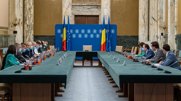 cine are de castigat daca se amana congresul pnl diana tache pierzatorul va fi ludovic orban