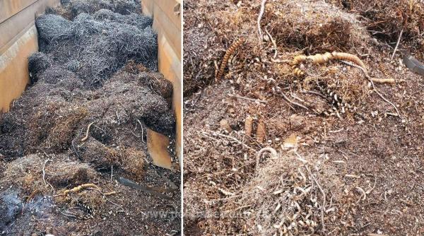 peste 22 de tone de deseuri metalice oprite la giurgiu