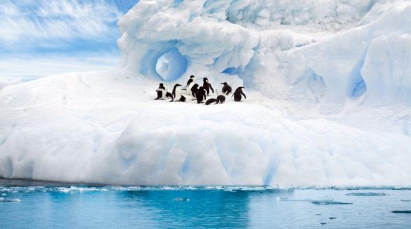 aproape toti ghetarii lumii se topesc accelerat ritmul s a dublat