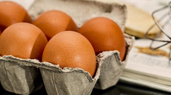 peste 260 000 de oua contaminate cu salmonela oprite de la comercializare