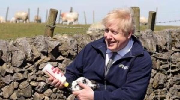 numarul de telefon al lui boris johnson public pe internet