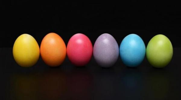 politicienii romani planuri simple de pasti ce fac citu rafila sau anca dragu