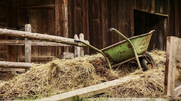 mirosul de balegar intra in patrimoniului olfactiv din franta criticul literar daniel cristea enache ce frumos nu