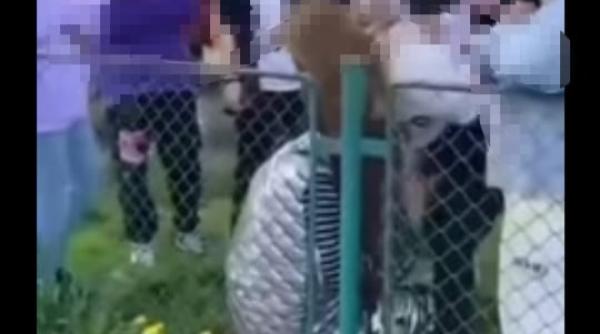 bataie intre copii la brasov imaginile greu de privit au devenit virale pe internet video