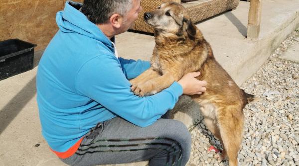 kola kariola anunta conturile pentru donatia prin criptomonede stiu ca pare ciudat dar sunt persoane care ne roaga