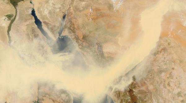 peste 100 de morminte antice egiptene au fost descoperite in delta nilului foto