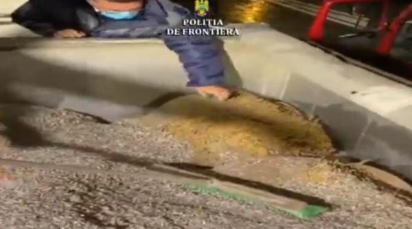 tone de tutun descoperite in vama ascunse printre seminte de floarea soarelui