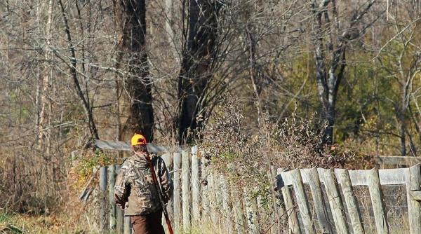 ultrajul impotriva padurarilor va fi pedepsit mai dur proiect de lege