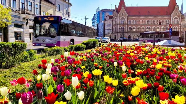 autobuzele scolare revin pe traseu la cluj napoca
