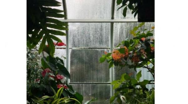 anm prognoza meteo temperaturile scad iar ploile revin