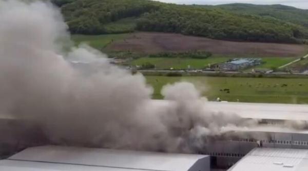 arde fabrica de hartie din dej ultimele informatii imagini de la fata locului foto video