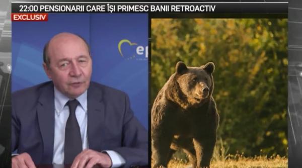 basescu interventie in cazul uciderii ursului arthur citu a fost nemaipomentit probabil stie unul mai mare aratam jalnic