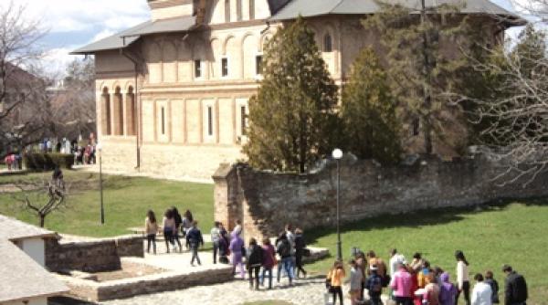 muzeele din dambovita inchise pe rand pentru dezinsectie si deratizare