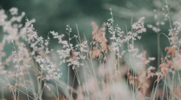 vreme 10 mai 7 iunie 2021 anm prognoza vara vine si in termometre