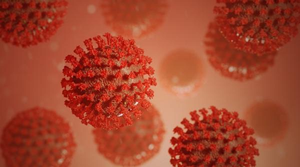 oms varianta b 1 617 contribuie la explozia cazurilor de coronavirus in india