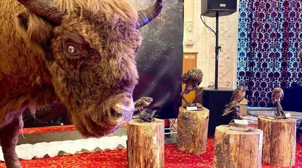 expozitie eveniment la parlament oana bulai psd va invit sa descoperiti neamtul coltul nostru de rai