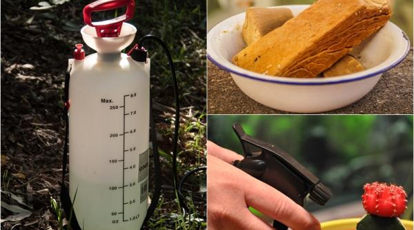 insecticid din sapun de casa pentru flori cum se prepara este foarte eficient