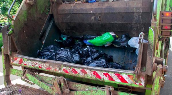 un copil de 13 ani care dormea intr un tomberon a fost strivit in masina de gunoi