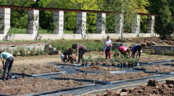 hortus florshow romania in campusul agronomiei herastrau
