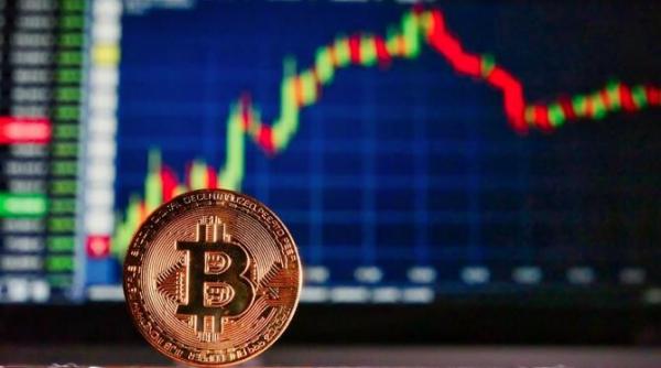 criptomonedele distractia lui musk s au pierdut 365 de miliarde dupa ultimul anunt