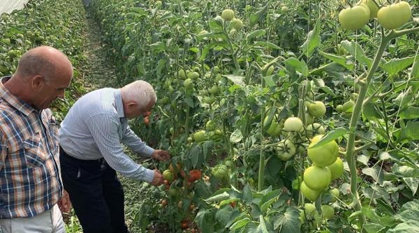 petre daea agricultura nu are culoare politica i a lovit consumatorii sunt dezavantajati