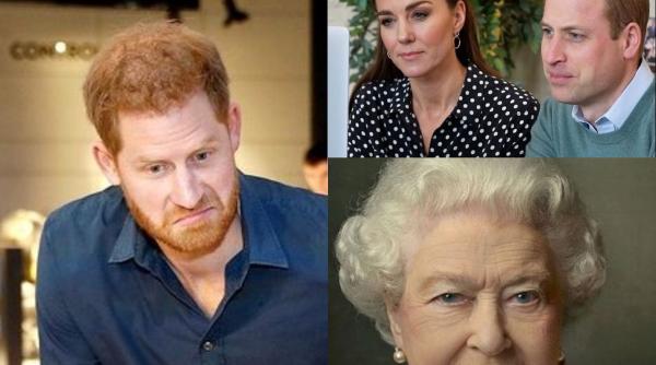 printul harry atac la casa regala se compara cu un animal de la zoo si cu filmul the truman show uite ce i a facut mamei mele